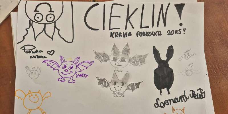 Nietoperz nie taki straszny